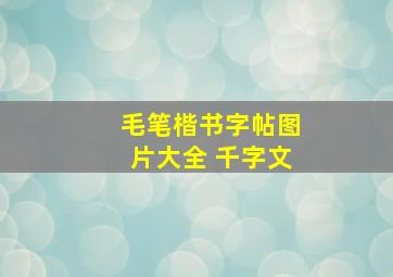 毛笔楷书字帖图片大全 千字文